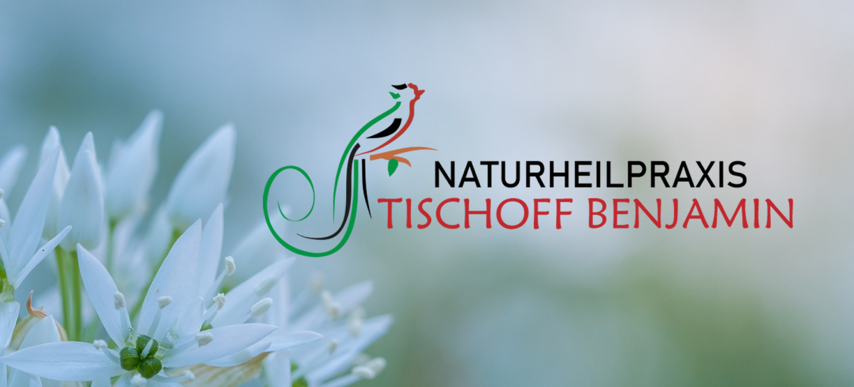 Heilpraktiker Logo, Naturheilpraxis Logo, Sanoquetzal, Quetzal, Logo Naturheilpraxis Benjamin Tischoff